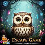 G4K Tiny Owl Princess Escape