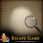 G4k Secretive Detective Escape Game