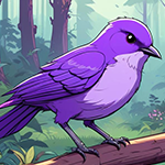 G4K Pretty Violet Bird Rescue