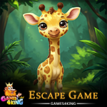 G4K Young Giraffe Rescue