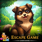 G4K Find Cute Pet Dog Escape