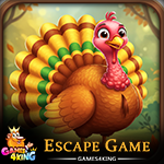 G4K Save the Turkey