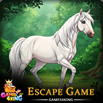 G4K Majestic White Mare Rescue