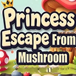 G4K Princess Escape from Mushroom House